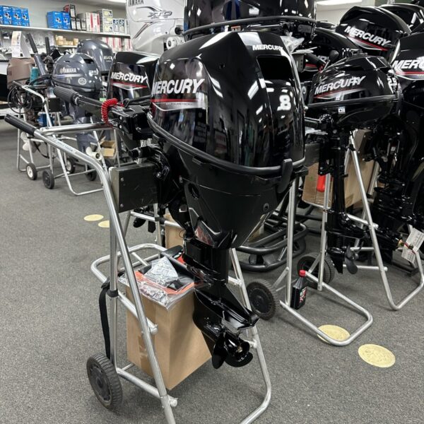 2024 Mercury 8MH Tiller Handle