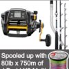 Daiwa Tanacom 1000 Electric Reel & Saltist 56HT Rod Combo