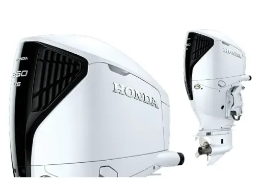 2025 Honda BF250 250DUDA